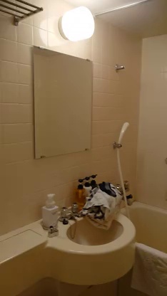 Pg For Rent In Bowali Budge Budge