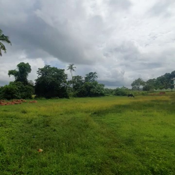 Plots For Sale In Malnadi Mal