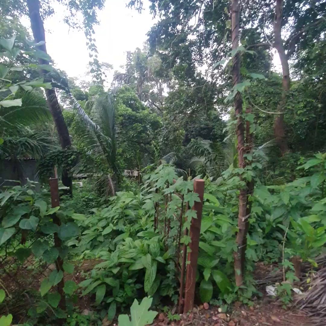 Pushpam Pushpalok Sarjapur