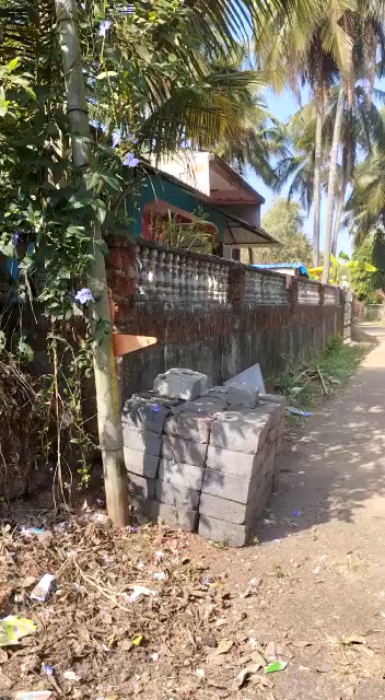 Dlf Plots In Kasauli