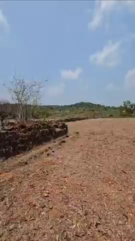 Dlf Plots In Kasauli