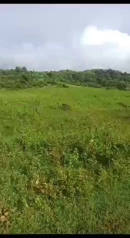 Beldarichak Patna Land Rates