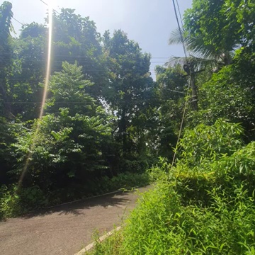 Shop For Sale In Benta Baheri