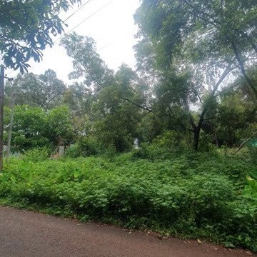 Shop For Sale In Shamspur Dadri