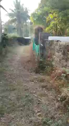 Plot For Sale In Paonta Sahib