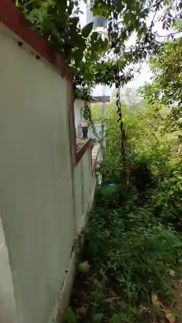 Shop For Sale In Capao Island Goa