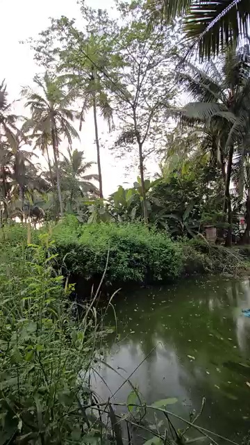 Plots For Sale In Buchi Reddy Palem Yerrupalem