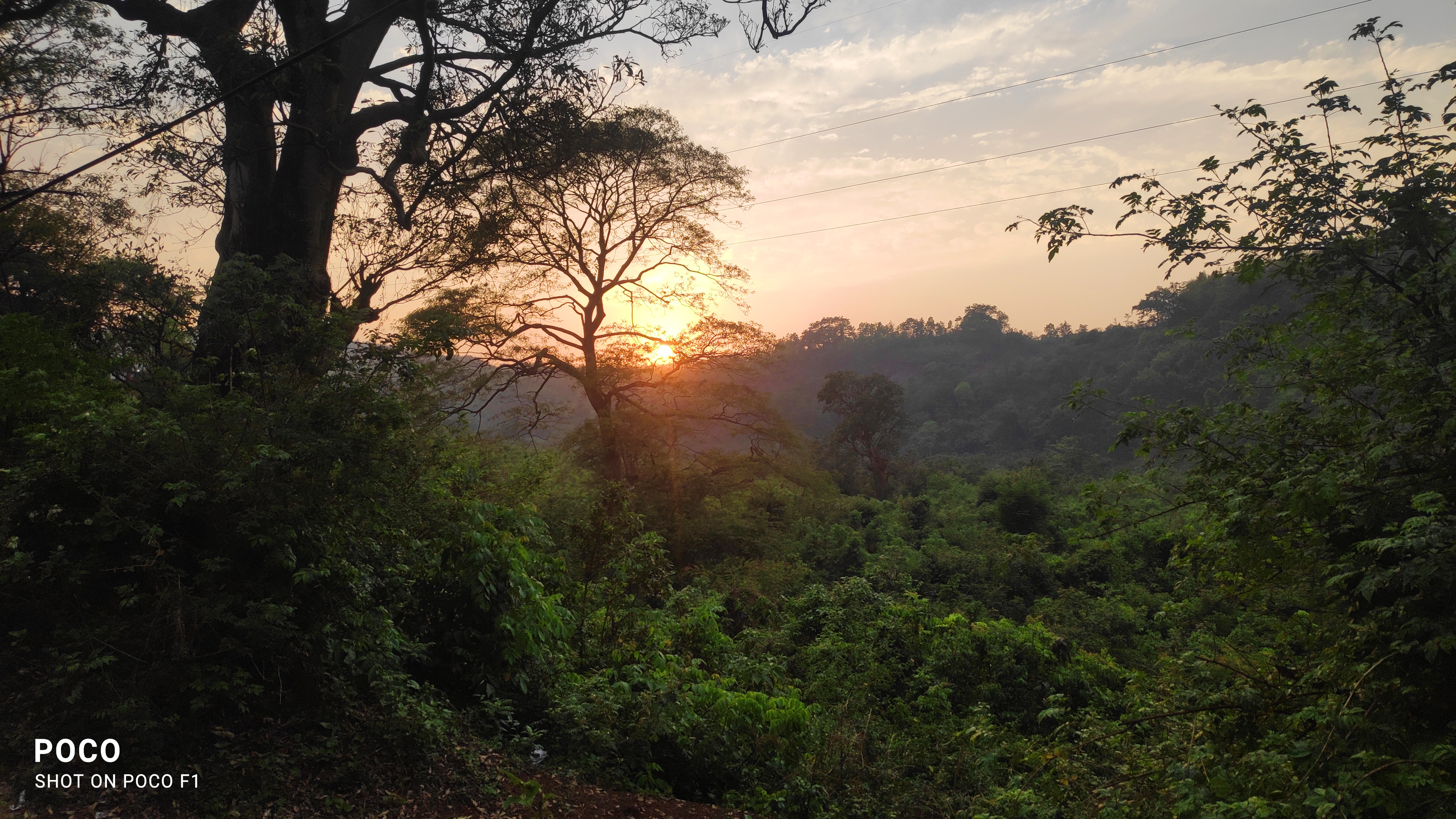 Plots For Sale In Phalut Darjeeling