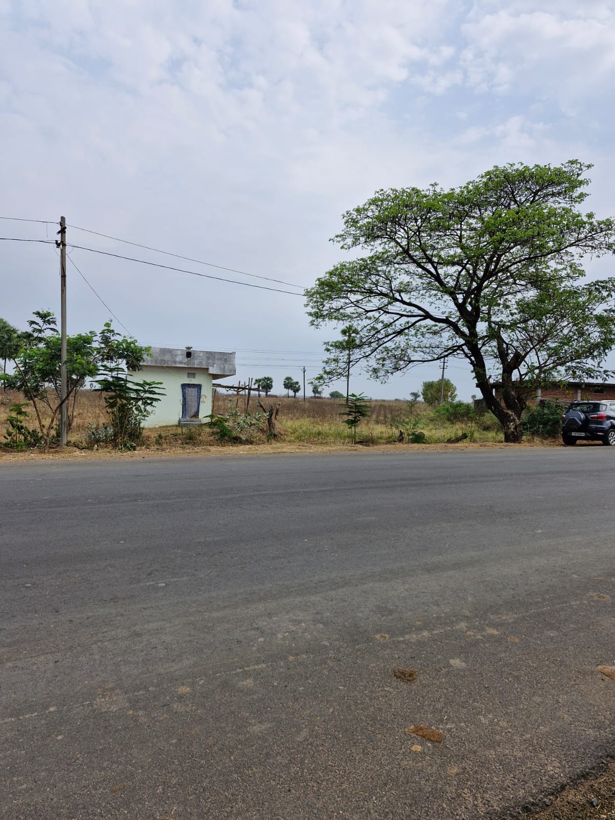 Plots For Sale In Wadder Colony Kamalapur