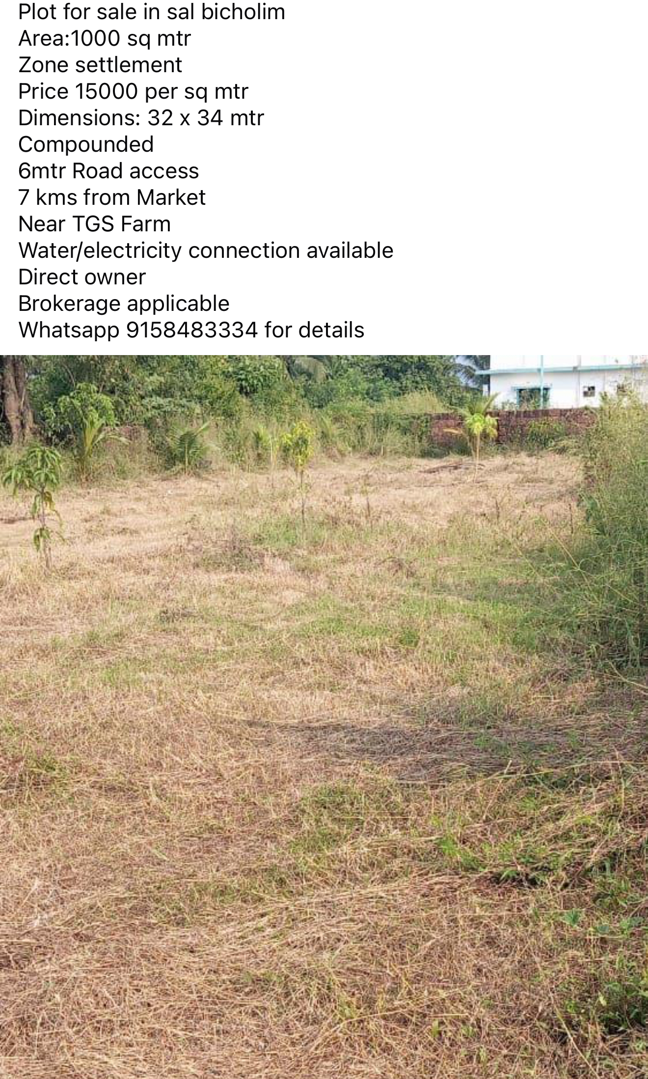 Shop For Sale In Capao Island Goa