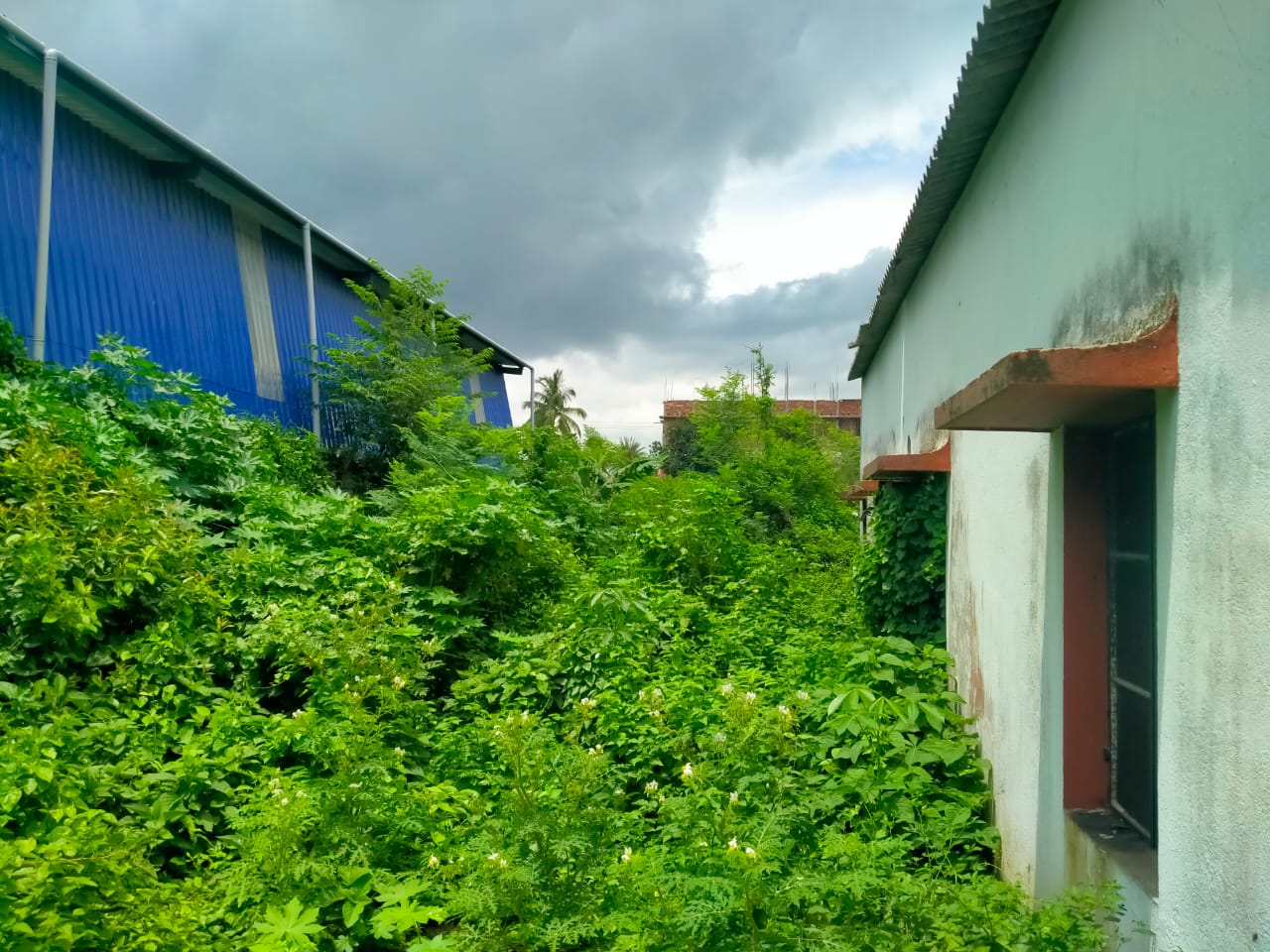 Plots For Sale In Joygacchi Habra