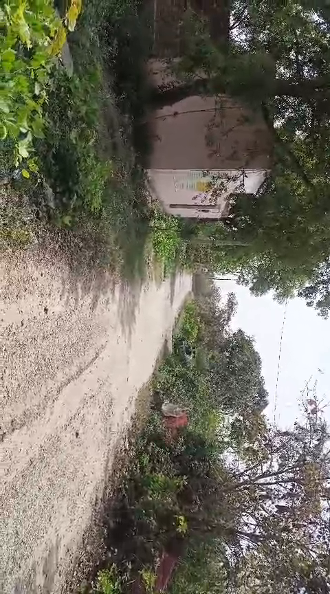 Plots For Sale In Lalifpur Tibra Modinagar