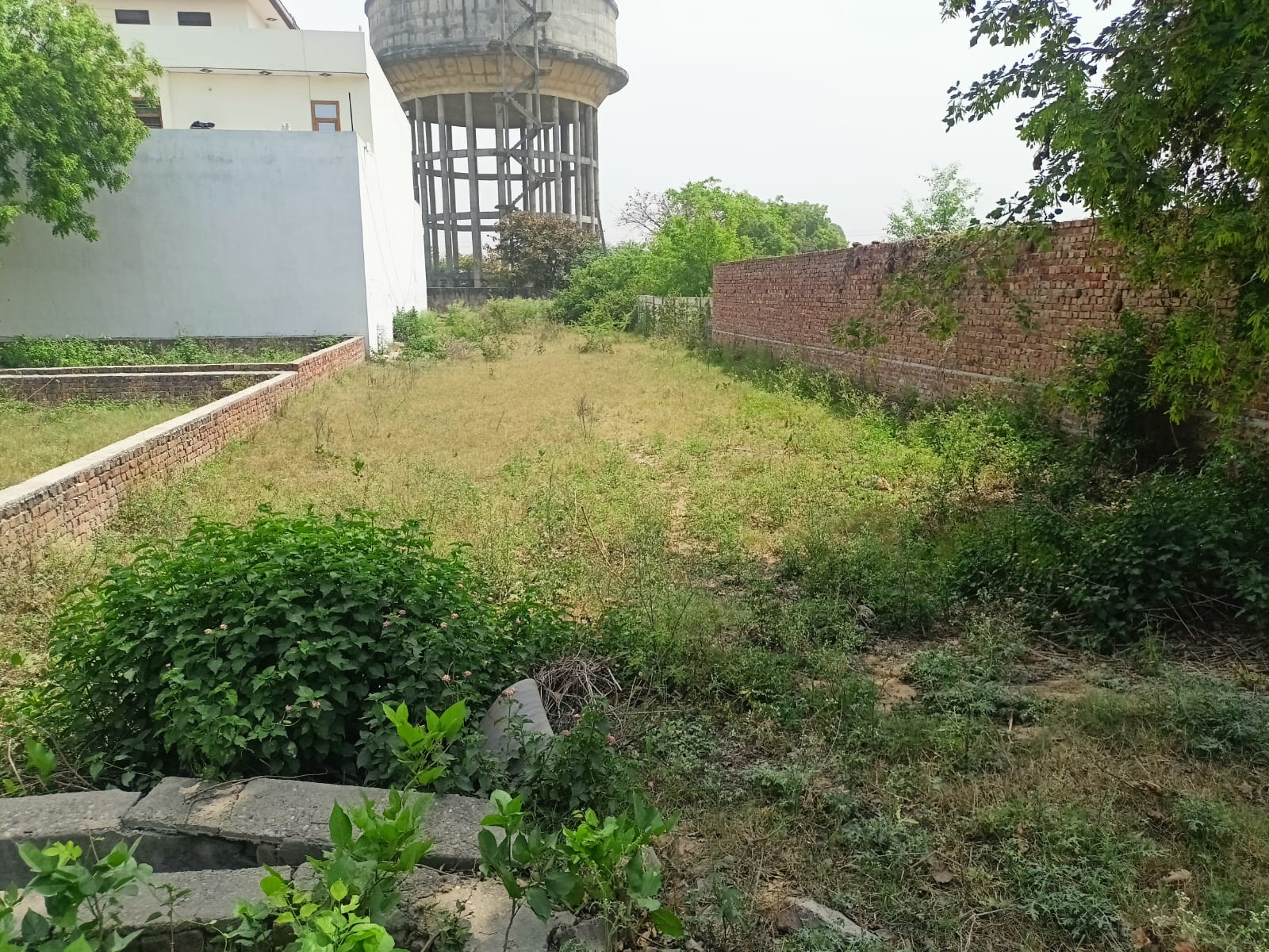 Plots For Sale In Lalifpur Tibra Modinagar