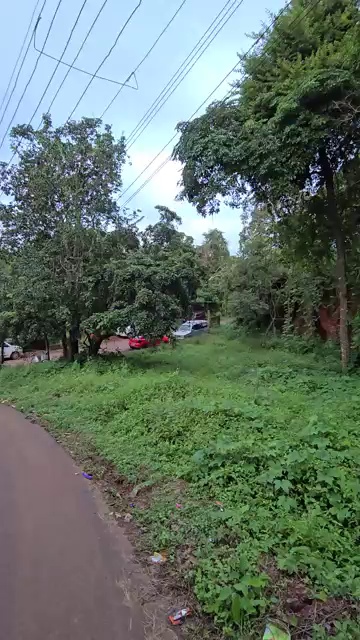 30 60 Plot In Jodhpur