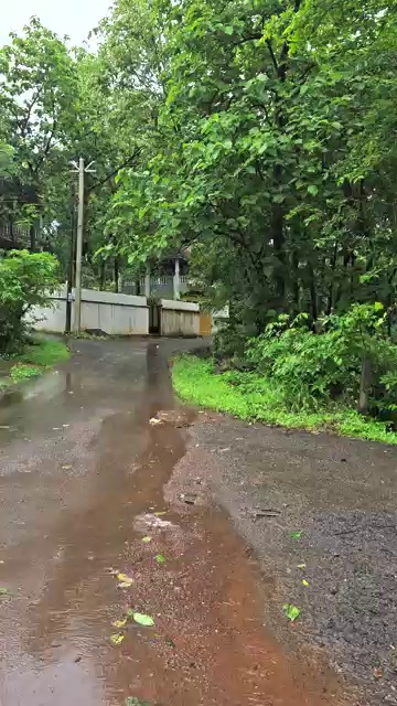 Dlf Plots In Kasauli