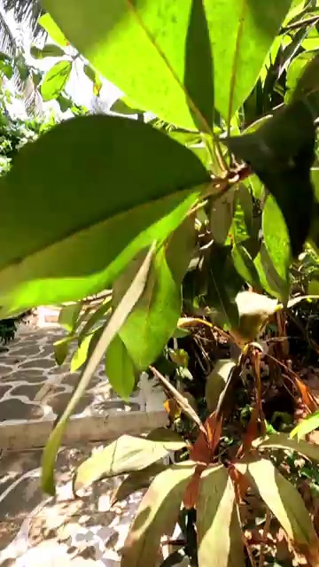 Villa For Sale In Inagali Yerrupalem