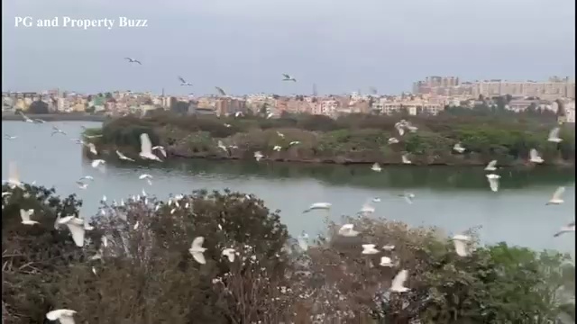 Pg For Rent In Amlaki Taoru