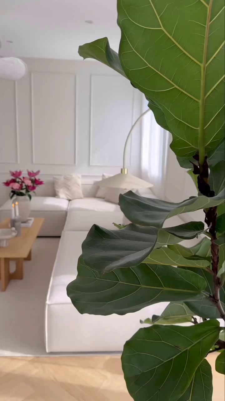 Bahadurpally Land Rates