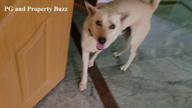 Shop For Rent In Balbir Nagar Extension Shahdara