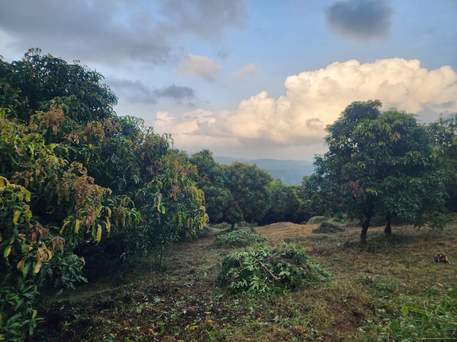 1 Guntha Land Price In Mumbai