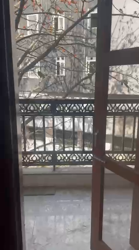 Flat For Rent In Old Faridabad Faridabad