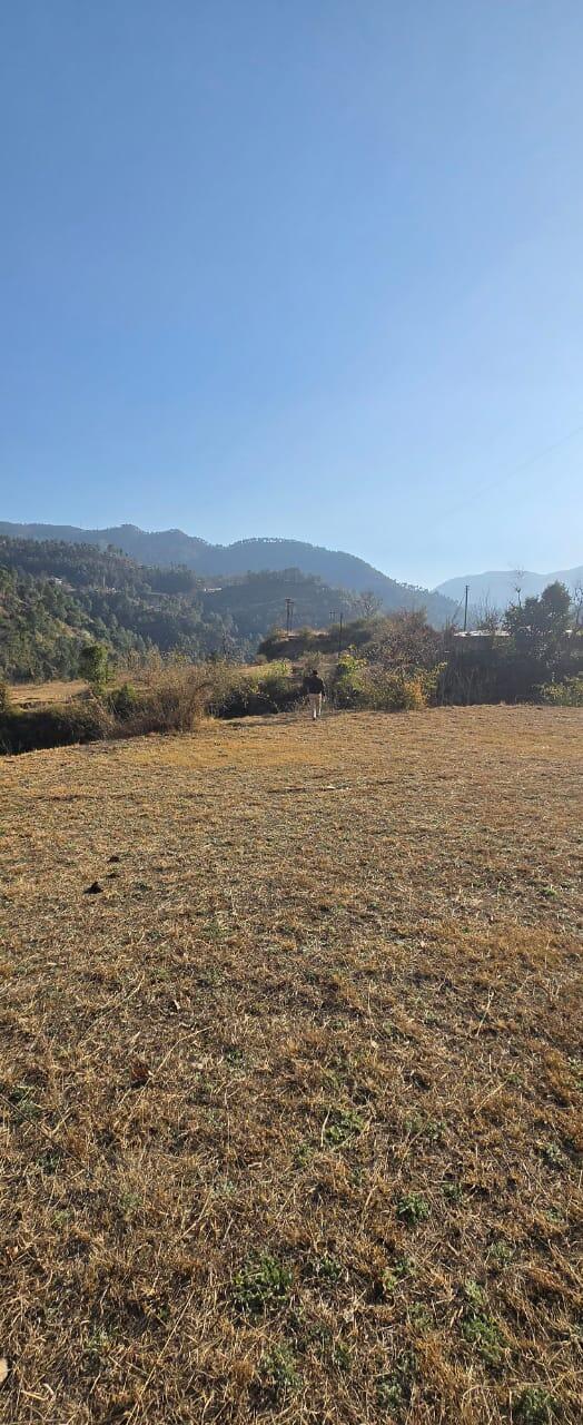 Dlf Plots In Kasauli